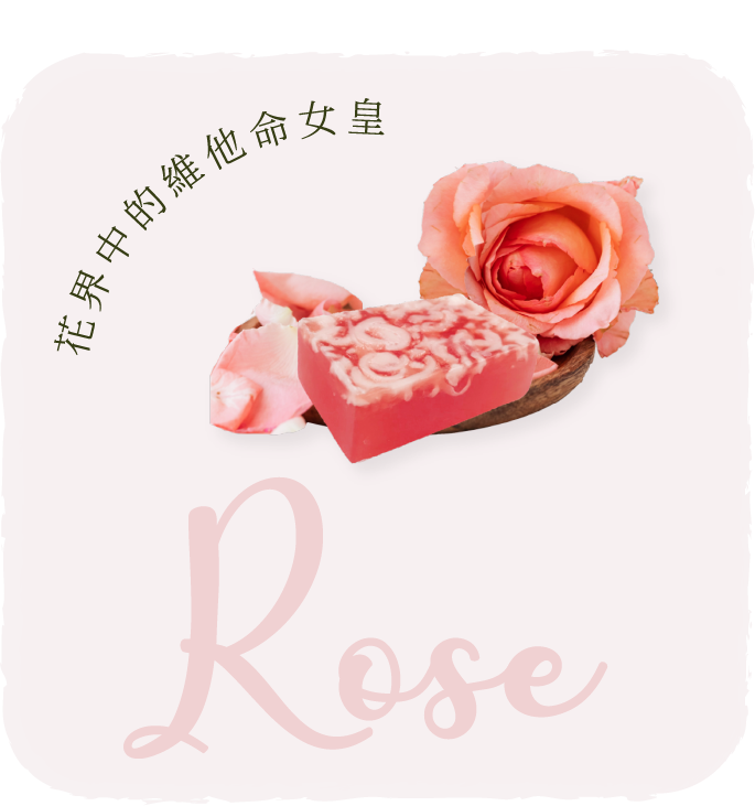 玫瑰萃取精華-花界中的維他命女皇